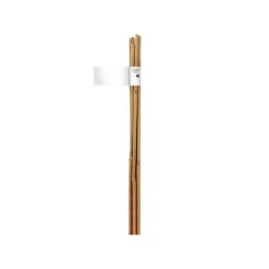 Tuteur bambou naturel coloris beige Ø 8/10 mm x 0,90 m