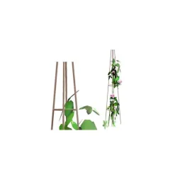Tuteur Rosier et grimpants 180 cm de haut