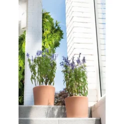 Vase Cilindrico clair en terre cuite D20 x H17