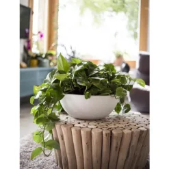 Vasque blanche gamme Graphit Ø 40 cm