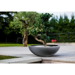 Vasque Graphit Anthracite - D59 x H21