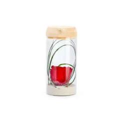 Verrine tube light rouge taille S Ø 8 x H 18 cm