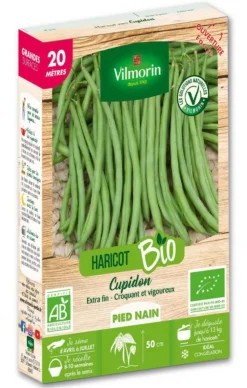 Verveine officinale Vilmorin - graines à semer