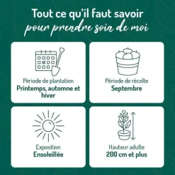 Vigne Perdin®. Le pot de 2 litres