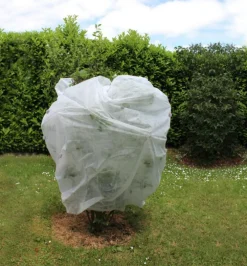 Voile d'hivernage pour plante extérieure Jany France 30 g/m2 - 10 m