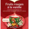 Yogi tea fruits rouges vanille bio - 17 sachets