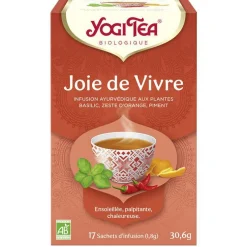 Yogi Tea Joie de vivre - 17 sachets