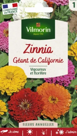 Zinnia Géant de Californie Vilmorin - graines à semer