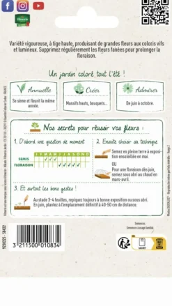 Zinnia Géant de Californie Vilmorin - graines à semer