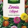 Zinnia Lilliput Vilmorin - graines à semer