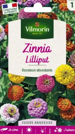 Zinnia Lilliput Vilmorin - graines à semer